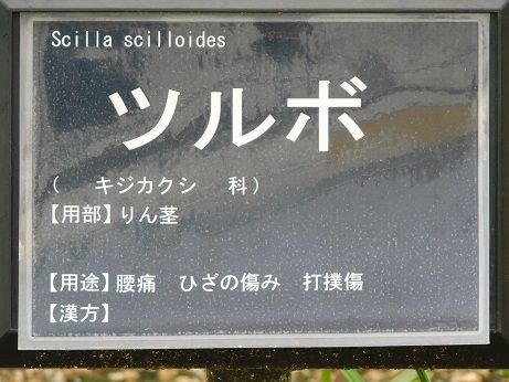DSCN3754