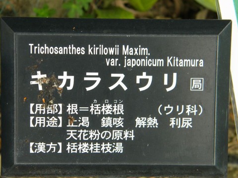 DSCN9933