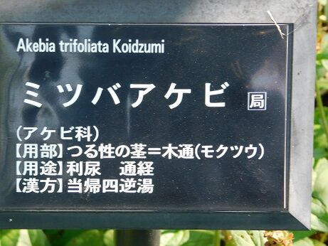 DSCN9856