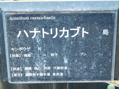 DSCN5898