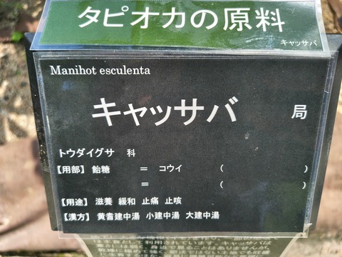 IMG_20260820_115448224_HDR