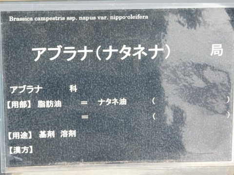DSCN6186