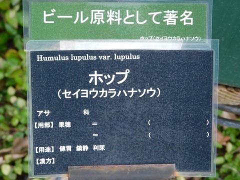 DSCN3744