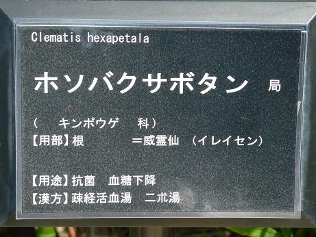 DSCN3671