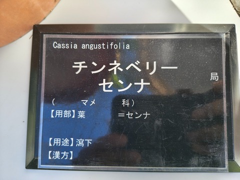 IMG_20261003_140837001_HDR