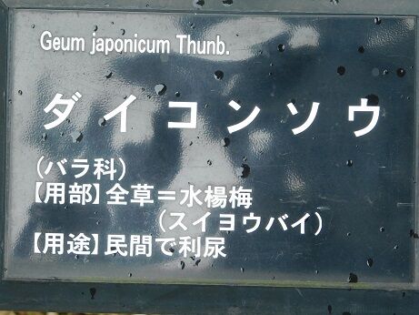 DSCN8325