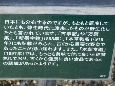 DSCN2716