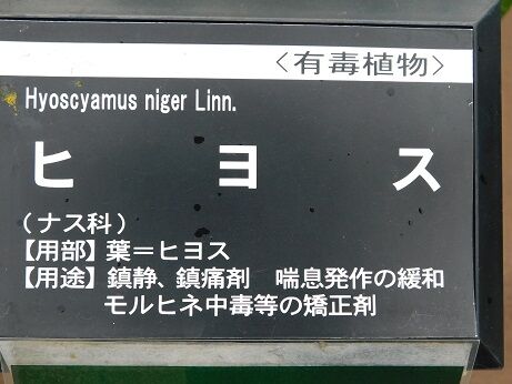 DSCN9597