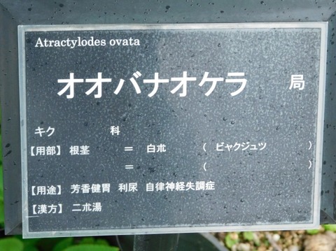 DSCN2694
