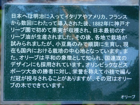 DSCN5515