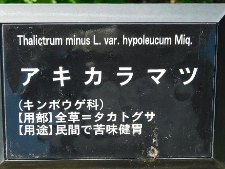 DSCN3442
