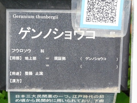DSCN7468