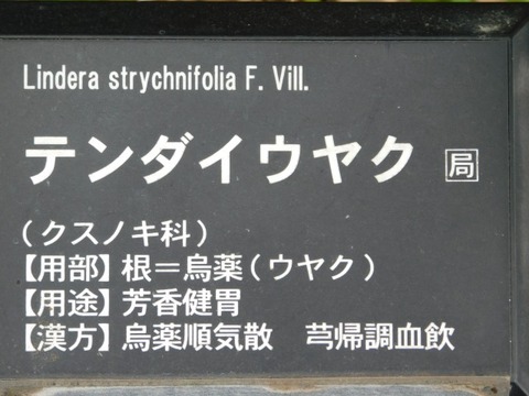 DSCN3678