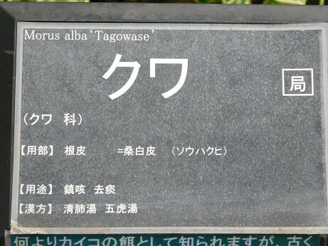 DSCN9582