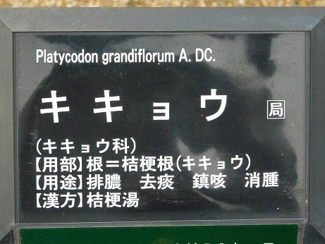 DSCN3213
