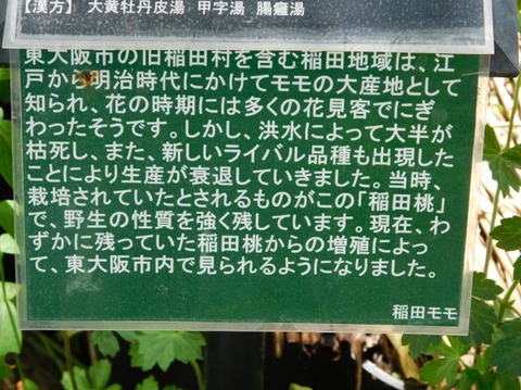 DSCN2319