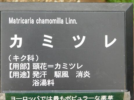 DSCN9472
