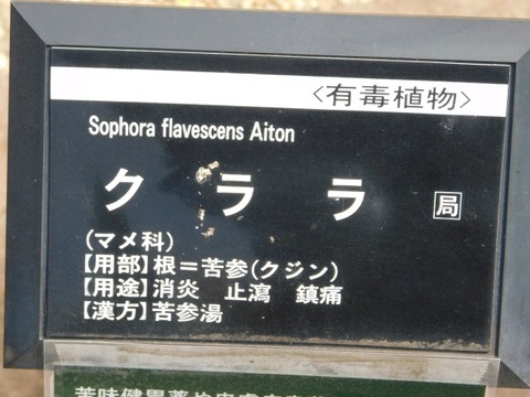 DSCN3709
