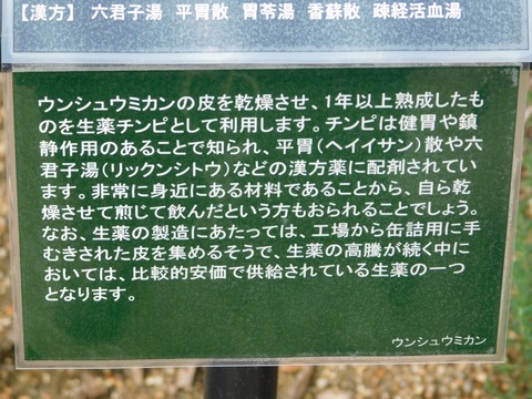 DSCN4467