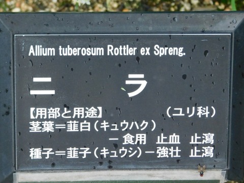 DSCN2689