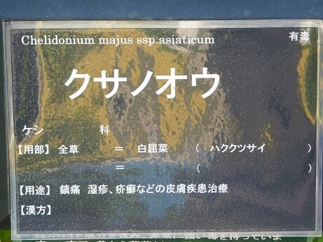 DSCN9282