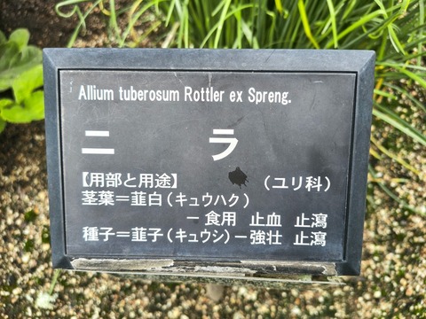 IMG_20260911_140405499_HDR