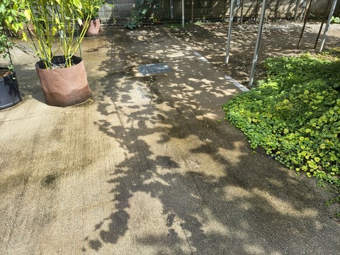 IMG_20260911_134151266_HDR