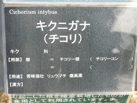 DSCN4470