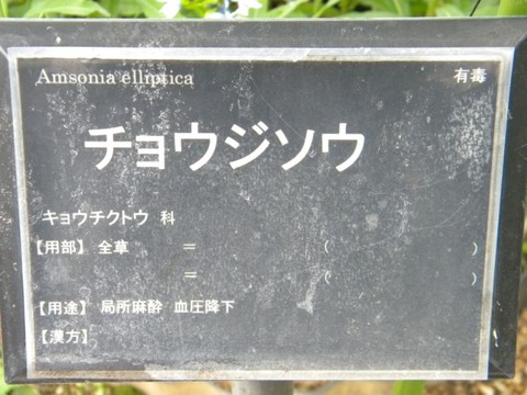 DSCN8983
