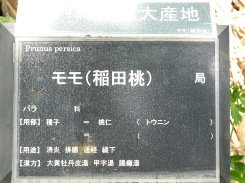 DSCN2318