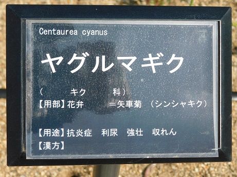 DSCN2435