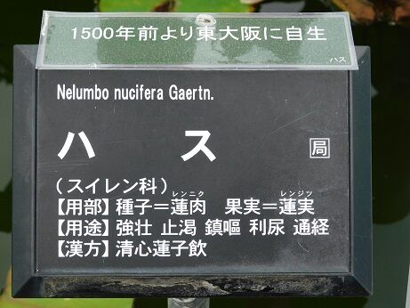DSCN9876