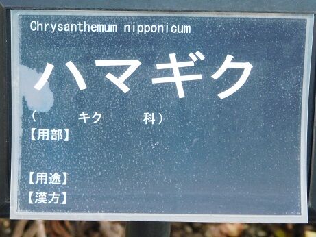 DSCN8785