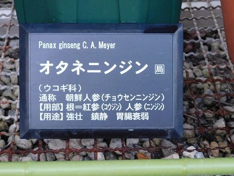 DSCN3320