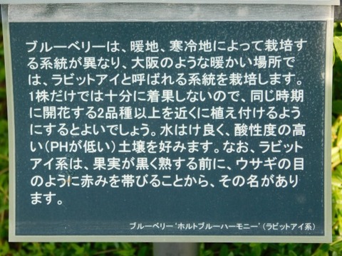 DSCN2204