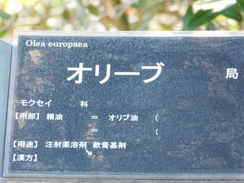 DSCN3302