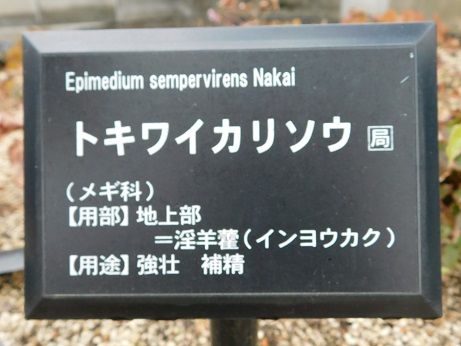 DSCN2330
