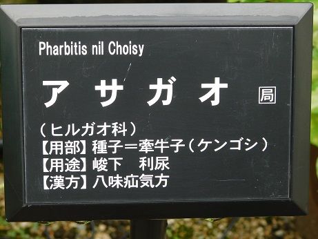 DSCN5757