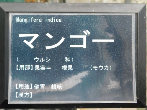 DSCN6139