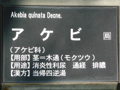 DSCN6563
