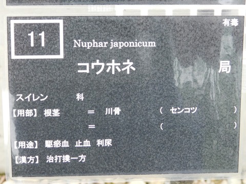 DSCN4271