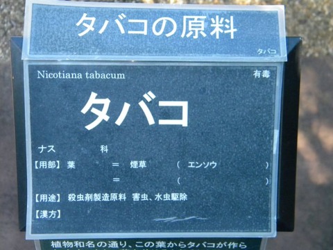 DSCN9860