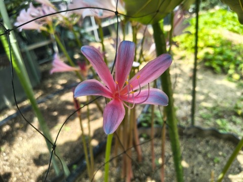 IMG_20260820_115104648_HDR
