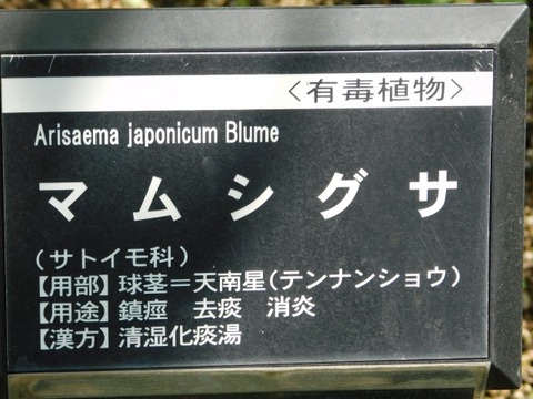 DSCN6633