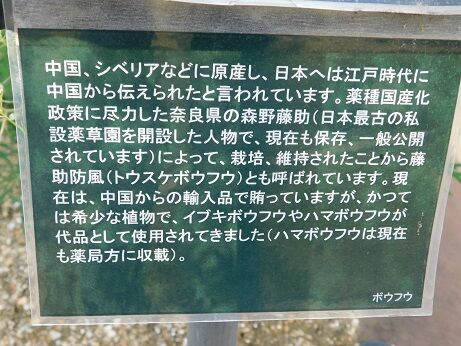 DSCN9466