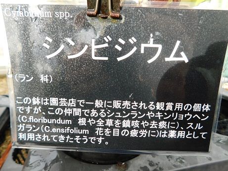 DSCN2023