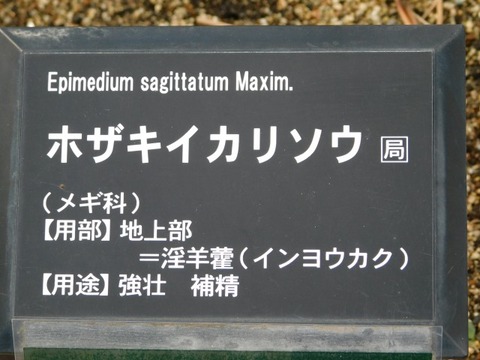 DSCN6347