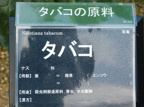 DSCN2371