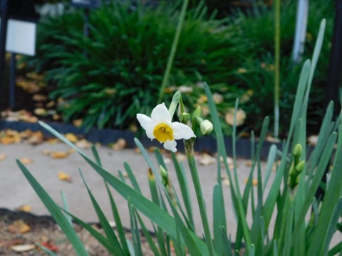 DSCN3227