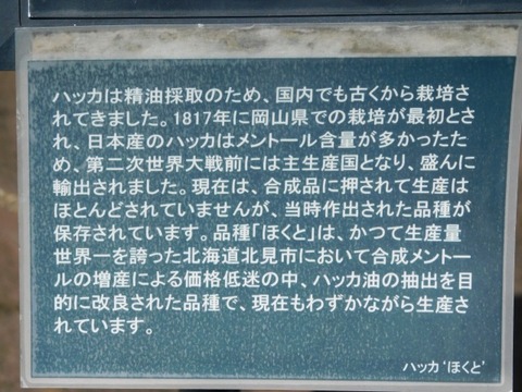 DSCN7239